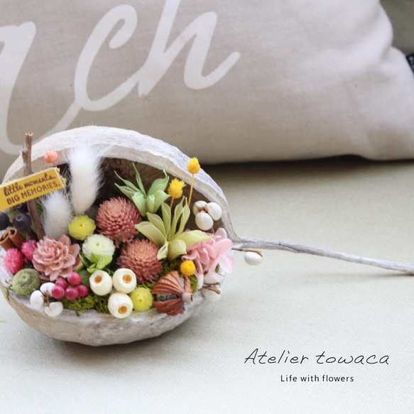 幸せを呼ぶ実  ブッダナッツ(小さめ)【パステルピンクのスイートアレンジ】 幸せを呼ぶ実 ブッダナッツ(小さめ)【パステルピンクのスイート