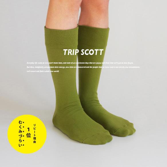 キナリノ掲載 淡緑 green wood 靴下 カラーソックス フィット「TRIP SCOTT」 丈夫 速乾 カジュアル 1枚目の画像