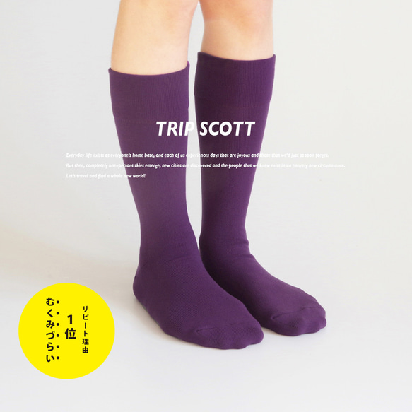 キナリノ掲載 紫 パープル 靴下 カラーソックス フィット「TRIP SCOTT