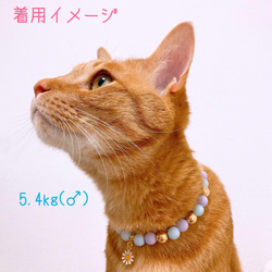 猫の首輪 ネックレス首輪♡ブルーマットビーズ ✨お花チャーム 7枚目の画像