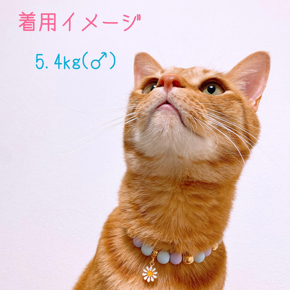 猫の首輪 ネックレス首輪♡ブルーマットビーズ ✨お花チャーム 8枚目の画像