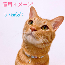 猫の首輪 ネックレス首輪♡ブルーマットビーズ ✨お花チャーム 6枚目の画像