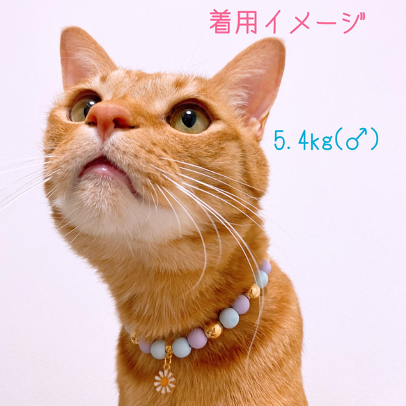 猫の首輪 ネックレス首輪♡ブルーマットビーズ ✨お花チャーム 5枚目の画像