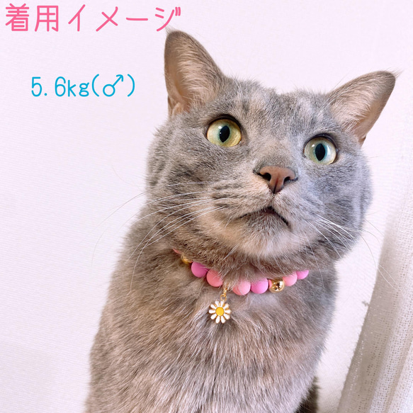 猫の首輪 ネックレス首輪♡ピンクマットビーズ ✨お花チャーム 8枚目の画像