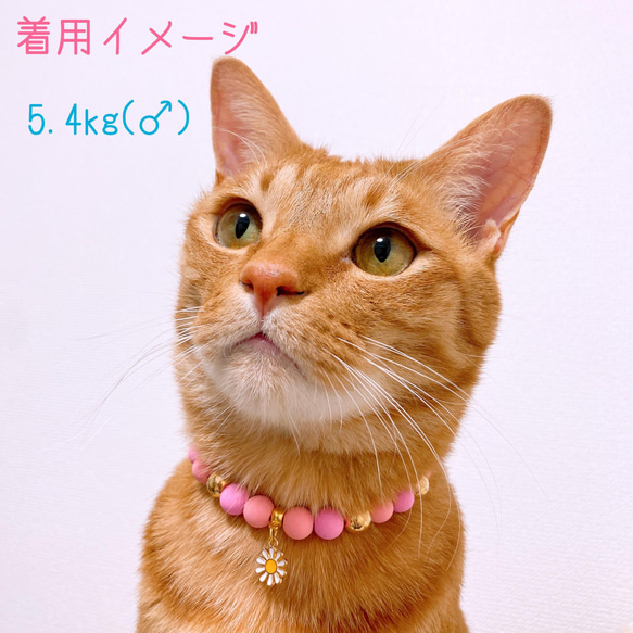 猫の首輪 ネックレス首輪♡ピンクマットビーズ ✨お花チャーム 6枚目の画像