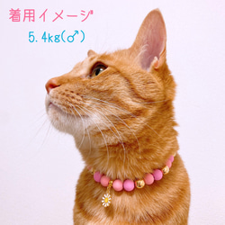 猫の首輪 ネックレス首輪♡ピンクマットビーズ ✨お花チャーム 7枚目の画像