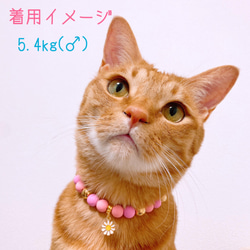 猫の首輪 ネックレス首輪♡ピンクマットビーズ ✨お花チャーム 5枚目の画像