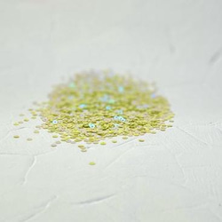 Spangle「スプリンググリーンAB」平丸3ｍｍ 5g　SP112-SG3 ビーズ刺繍スパンコール　 9枚目の画像