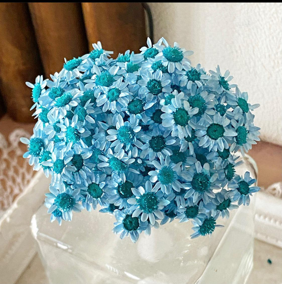 スターフラワーブロッサムアレンジ加工小分け❣️ブルーターコイズ
