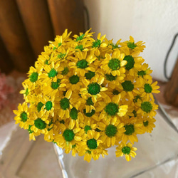 スターフラワーミニ『ひまわり風』30個 スターフラワーミニ『ひまわり風』30個 スターフラワーミニ