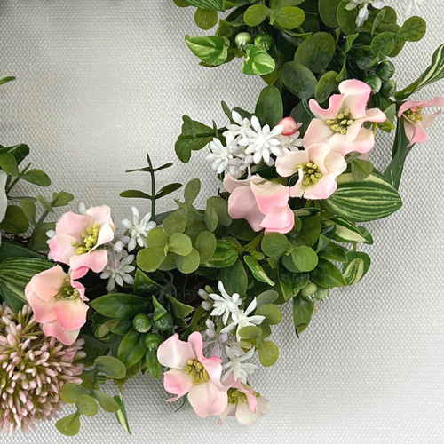 ラナンキュラス リース ラナンキュラス 「ラックス」シリーズ 「ランドセル」シリーズ 入荷