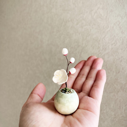 7030.［ゆひかさま］bud 粘土の鉢植え ウメ - 白 4枚目の画像