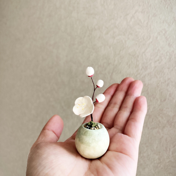 7030.［ゆひかさま］bud 粘土の鉢植え ウメ - 白 4枚目の画像