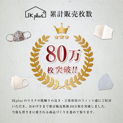 お得な3点セット 快適マスク マスクケース インナーマスク MA-02 MA-22 MAG-5 15枚目の画像