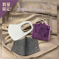 お得な3点セット 快適マスク マスクケース インナーマスク MA-02 MA-22 MAG-5 1枚目の画像