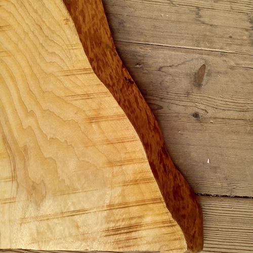 木製看板製作】 一枚板 楠 くす / 自然塗装 33cm×41cm 表札・ネーム