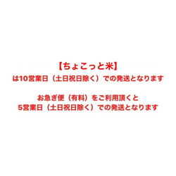 ちょこっと米【5個セット：800円/個】 17枚目の画像