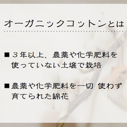 ３枚セット▶生理ケア・少量の水分ケア▶防水布入り▶オーガニックコットン布ナプキン▶ストライプ 8枚目の画像