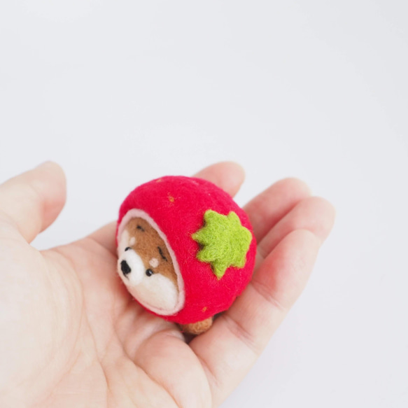 【受注製作】なりきりいちごのまゆ柴犬(赤柴・黒柴・白柴)　羊毛フェルト 5枚目の画像