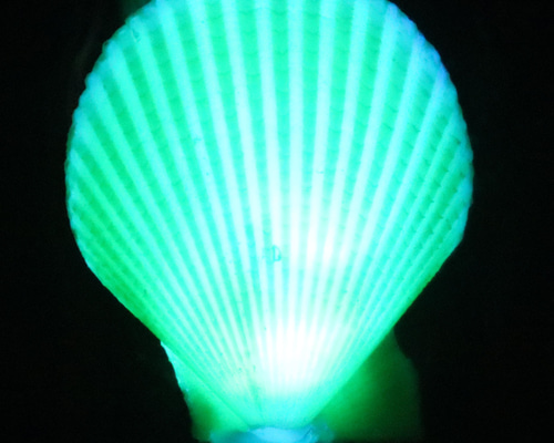 e75d9c2443e1afb565424bdfb52c10