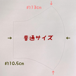 ユーカリの葉✿︎立体マスク✿︎お肌に優しい保湿・シルクプロテイン 6枚目の画像