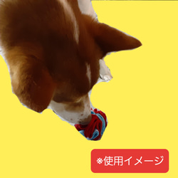 ペット用品　犬のおもちゃ　クンクンボールM 4枚目の画像