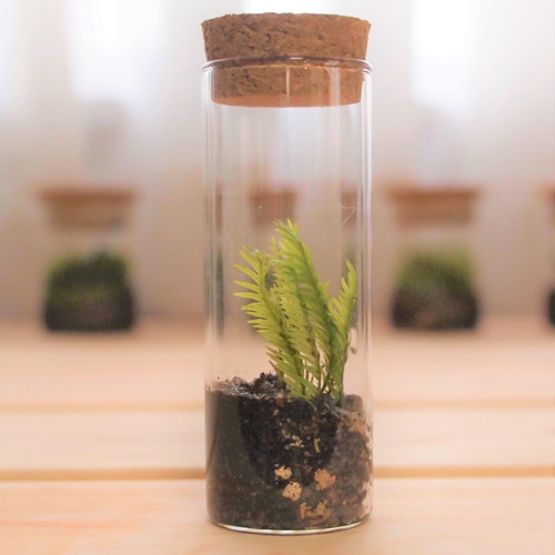 試験管の苔テラリウム ホウオウゴケ その他インテリア雑貨 earth green