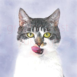 「ガロパン・Galopin」猫の肖像画 1枚目の画像