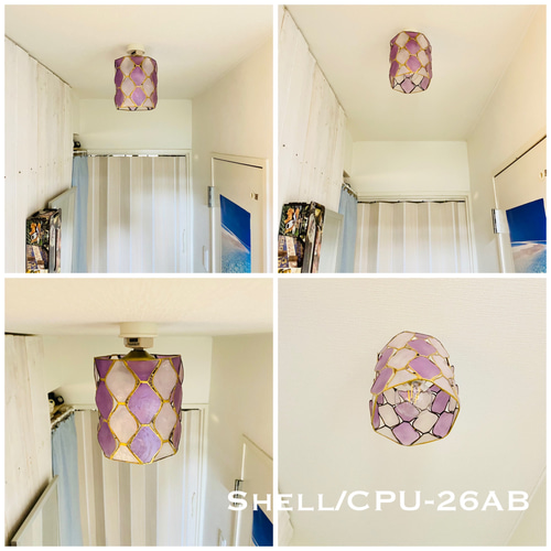 貝　シーリングライト　シェルライト　照明枠 capizspot11.jpg