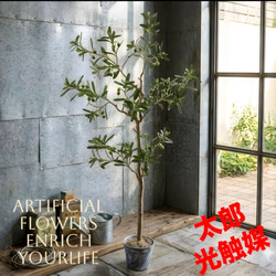 光触媒 人工観葉植物 ウォールグリーン フェイクグリーン 壁掛け402053
