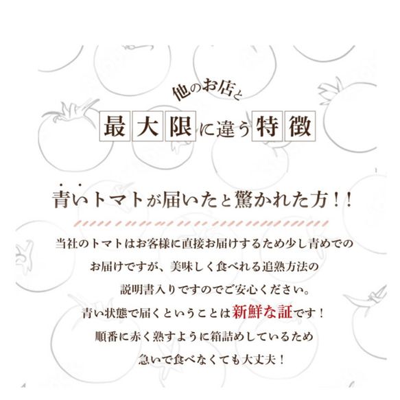 【受賞歴３回！】訳ありソムリエトマト4.5〜5.5kg（１８玉～３６玉) ②のオマケ 15枚目の画像