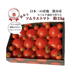 【受賞歴３回！】訳ありソムリエトマト2kg〜3kg（８玉～18玉) ③のオマケ 1枚目の画像