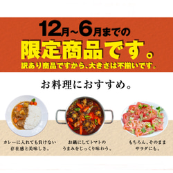 【受賞歴３回！】訳ありソムリエトマト2kg〜3kg（８玉～18玉) ③のオマケ 14枚目の画像