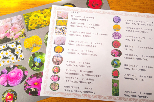 お花のマスキングシート2枚＆花言葉 4枚目の画像