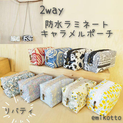 Laminated 2way Pouch &amp; Shoulder Bag ~北歐風格成人可愛~ 第1張的照片