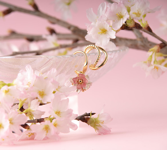 桜の花のイヤーカフ 4枚目の画像