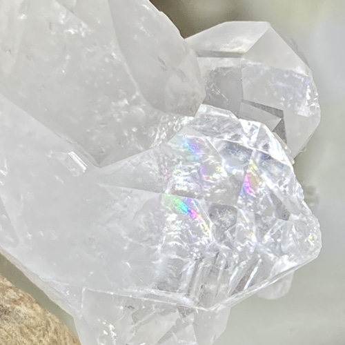 タイムリンク 虹✨ ブラジル・ミナスジェライス州 トマスゴンサガ産