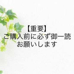 重要】ご購入前に必ず御一読お願いします。 その他素材 RC*sister 通販 