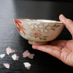 京焼・清水焼 ご飯茶碗　雲錦（桜と紅葉）サイズ：大 5枚目の画像