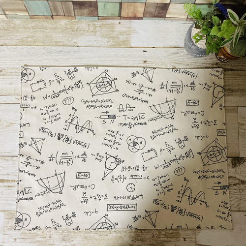 ○化学式 実験○ランチョンマット 巾着袋 給食袋 コップ袋など