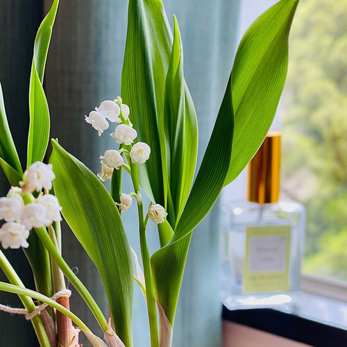 No.82スズランオードトワレ-スズラン|洋ナシ|イランイラン10ml