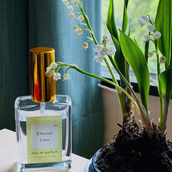 3dd030b04af603e4ca7286223af453