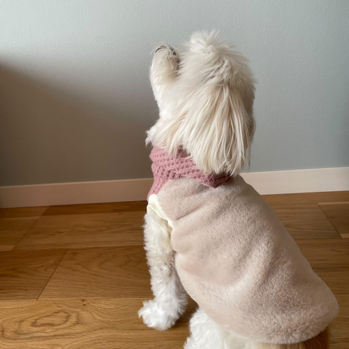 オーダーストップ＊ハンドメイド犬服＊両面シープボア・ピンクわんちゃん 犬 服 背中開き クリーミージャンパー ジップアップ 背開き