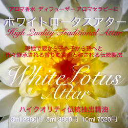【大容量100ml×2本】エジプト香油セット（金木犀・ホワイトロータス） 4c0016fe702b083c9ff9c65d4d10d8