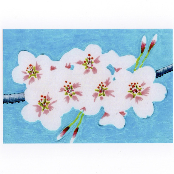 桜からのぞく青空　桜イラストポストカード5枚セット　　送料無料 8枚目の画像