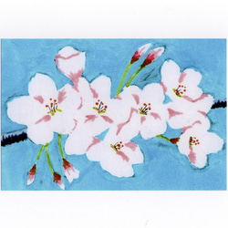 桜からのぞく青空　桜イラストポストカード5枚セット　　送料無料 7枚目の画像