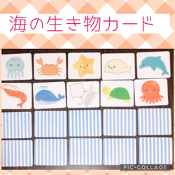 海の生き物カード 神経衰弱 絵合わせ モンテッソーリ 療育 発達支援