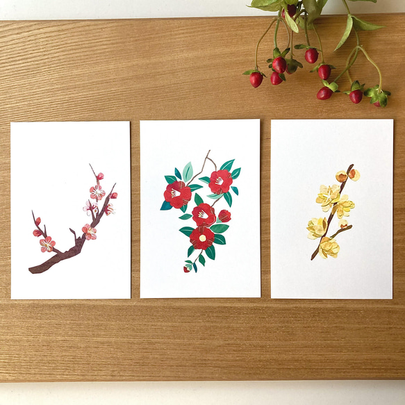 冬の花ポストカード10枚セット 2枚目の画像