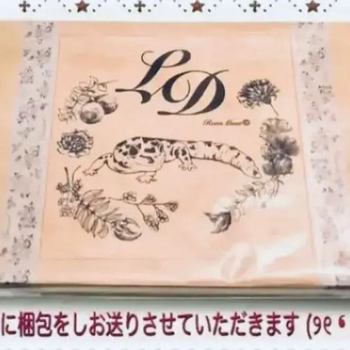 ❤【初回限定特典付】ガリレオDVD-BOXストーリーブック・限定キーホルダー付 楽天市場】[公式] MARVEL マーベル ロゴRD YE レオパード