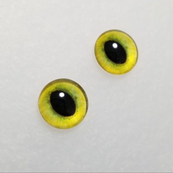 H41　猫の瞳　１０㎜【ドーム型】　グラスアイ　羊毛フェルト用 1枚目の画像